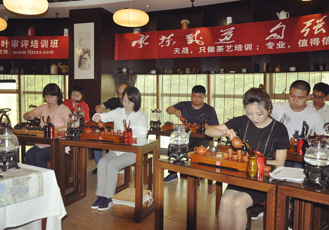 厦门茶道培训机构排名
